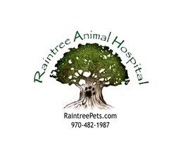 Raintree Animal Hospital Stephanie Blank